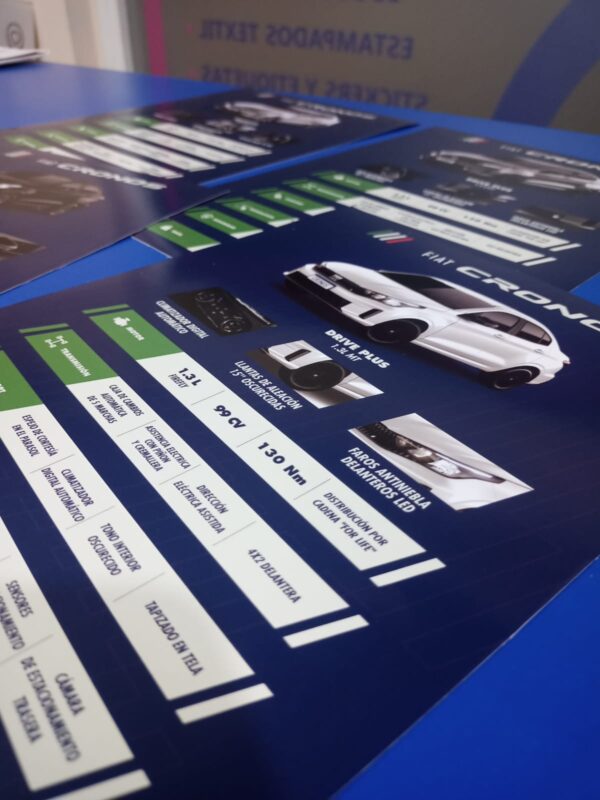 Vinilo Impreso Premium - Imagen 2